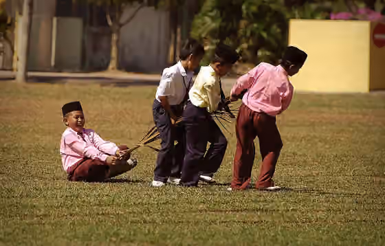 Orang Melayu di Malaysia — Four Malay boys having a fun go at tarik upih pinang (palm frond sledding)
