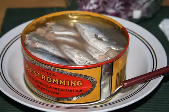 Surströmming — Description Surströmming