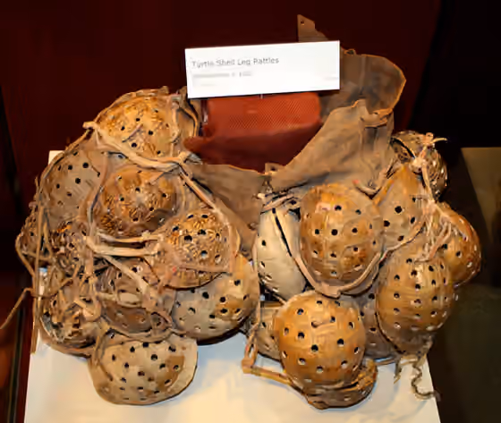 Stomp dance — Southeastern women's turtleshell shackles for stomp dancing, ca.