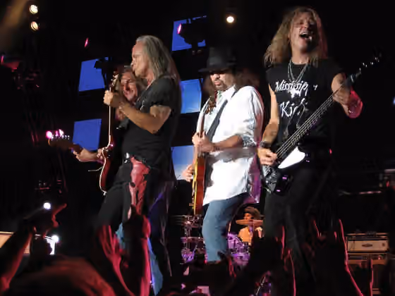 Southern rock — Lynyrd Skynyrd in concert - New Brockton, Alabama, June 7, 2008