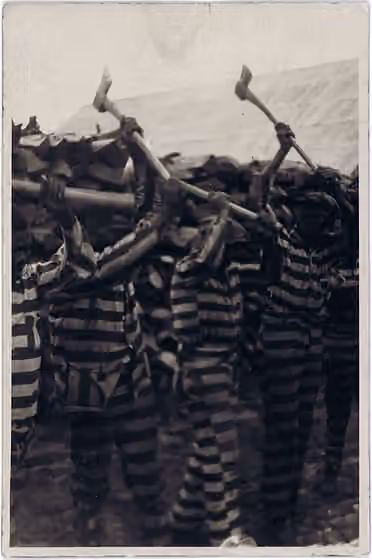 Field holler — African American convicts working with axes and singing in woodyard, Reed Camp, South Carolina.