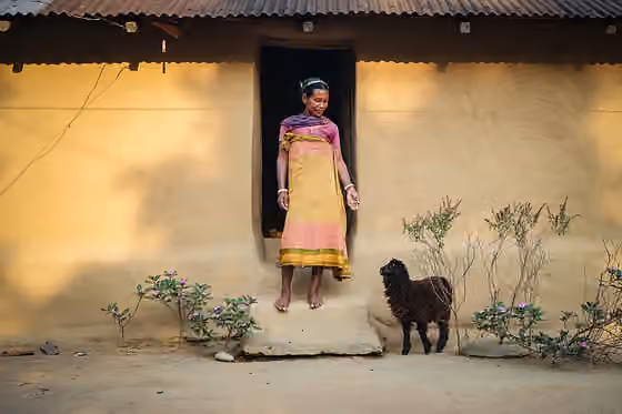 Koch people — Koch tribal woman communicating with a sheep in her own loving way.