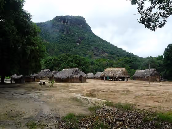 Panare people — Comunidad Panare de Corozal