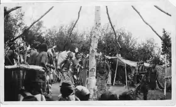Sun Dance — Scope and content: Records document the activites of George LaVatta as Organizational Field Agent in the 1930's.