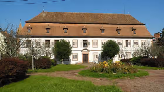 Poles in France — Maison Stanislas