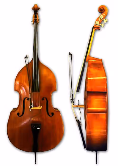 Kontrabas — Photo of my double bass, front and side.
