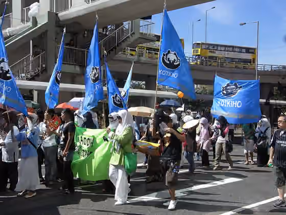 Orang Indonesia di Hong Kong — Hong Kong 1 July marches