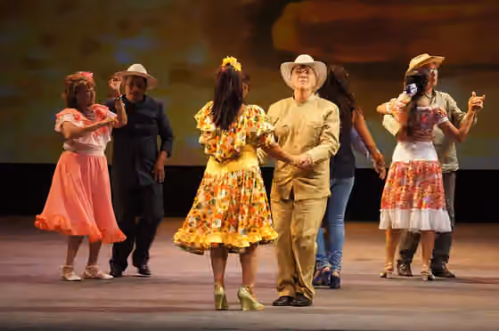 Joropo — La Fiesta del Joropo es un evento realizado por el IAEM y el Ministerio para la Cultura; esta es la función realizada en la sala Ríos Reyna del Teatro Teresa Carreño el 2 de noviembre de 2014