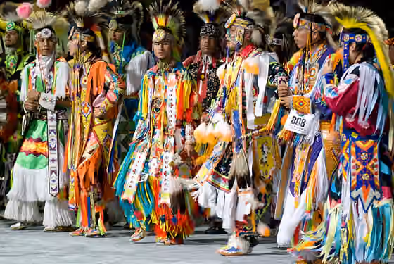 Grass dance — Grass Dancers at the 2007 National Pow Wow.