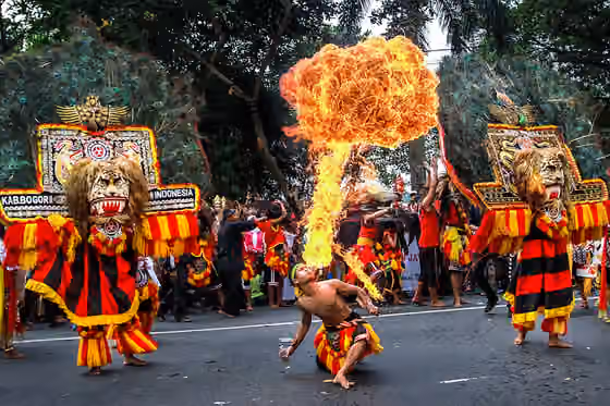 Reog — Reog Ponorogo Fire Attractions Cultural Attractions, Bogor City Anniversary 2015