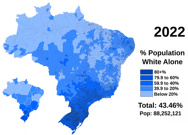 Kulit putih Brasil — Brasil Blanco Solo en 2022.