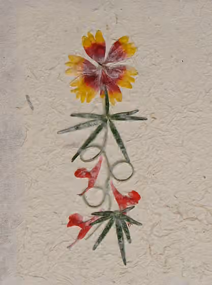 Antemoro — Antaimoro paper using a real fresh flowers (not pressed flowers), Ambalavao, Madagascar