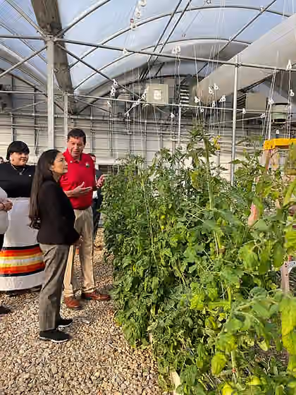Coushatta Tribe of Louisiana — Vegetables of the Coushatta Tribe of Louisiana