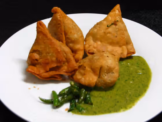 Samosa — Dokumentasi Samosa yang dirujuk oleh sumber.