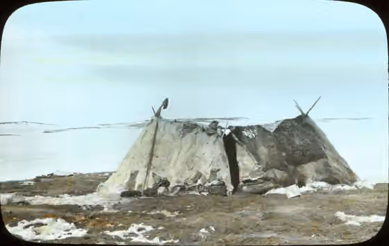 Kangiryuarmiut — Double tent (two summer skin tents) of two Kanghiryuarmiut (Prince Albert Sound) families, Lake Tahiryuak (now Quunnguq), southwest Victoria Island, N.W.T.