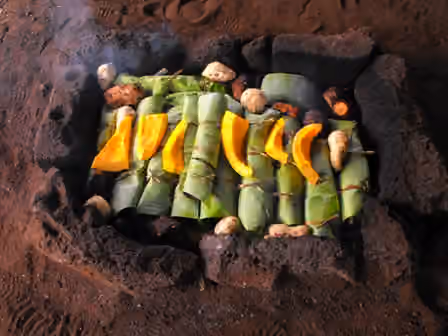 Pascuense cuisine — preparation of the umu (Easter Island)
