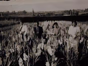 Japanese Uruguayans — ウルグアイで花卉栽培に勤しむ日系人家族。二十世紀前半ごろ。