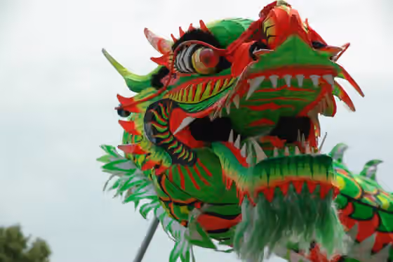 liang liong — Chinese dragon in a dragon-dance in Apeldoorn .