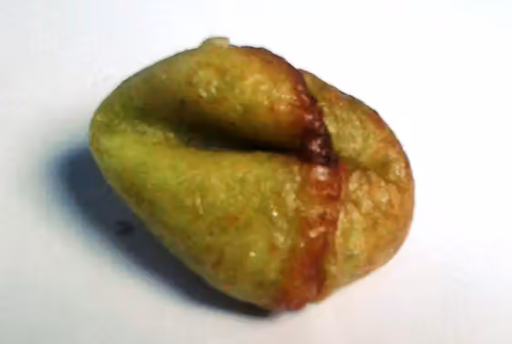 tolpit — Adrem atau tholpit adalah makanan tradisional khas Kecamatan Sanden, Bantul, Indonesia.