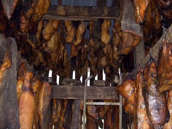 Icelandic cuisine — Hákarl (Icelandic for shark) or Greenlandic Shark is a food from Iceland.