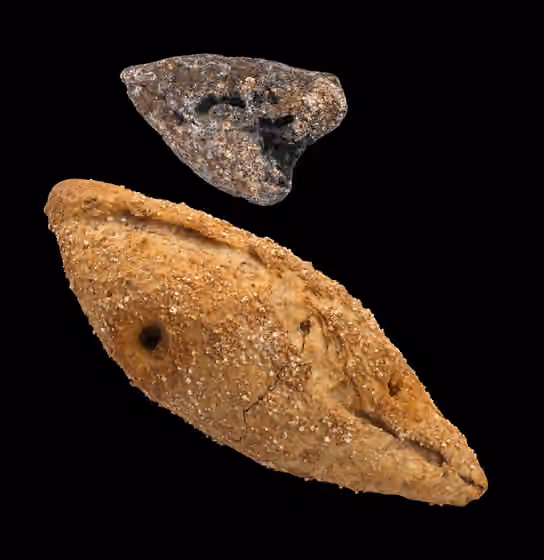 Ovelgönne bread roll — top: Original bottom: reconstruction