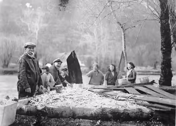 Nuxalk — Nuxálk People gathered around a eulichan stink box, which is located near the Bella Coola River.