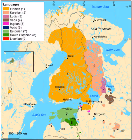 rumpun suku bangsa Finnik Baltik — Finnic languages at the beginning of the 20th century Finnish Karelian Ludic Veps Ingrian Votic Estonian (North Estonian) South Estonian (including Võro and Seto) Livonian