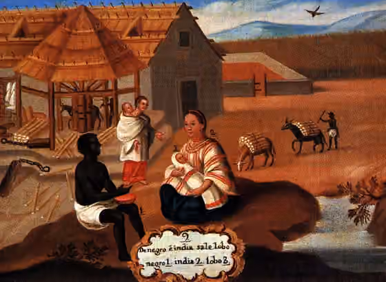 Zambo — Representation of Zambos during the Latin American colonial period.