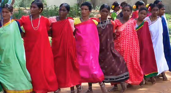Dhimsa — Tribal dancers perform in Araku Valley, Andhra Pradesh, India Photo by Robert Griner May 2005