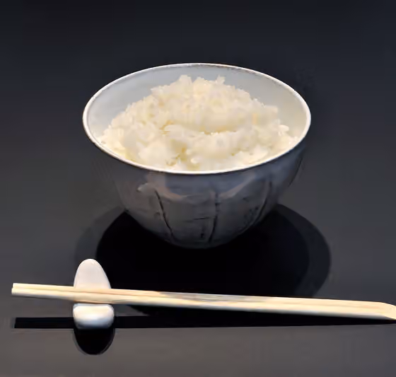 nasi — Typical sample of Japonica rice.
