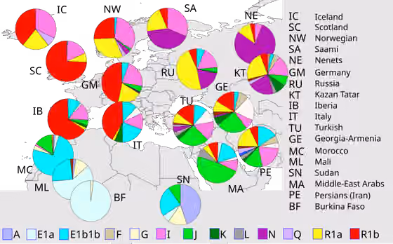 Genetic studies on Moroccans — Incorrect haplogroup arrangement.