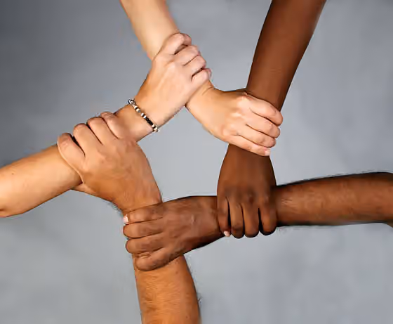 ras manusia — Interlocked hands of diverse racial backgrounds representing unity.