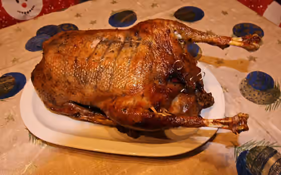 Goose as food — Weihnachtsgans.