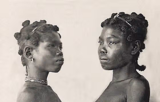 Masikoro — * Afrique Orientale.