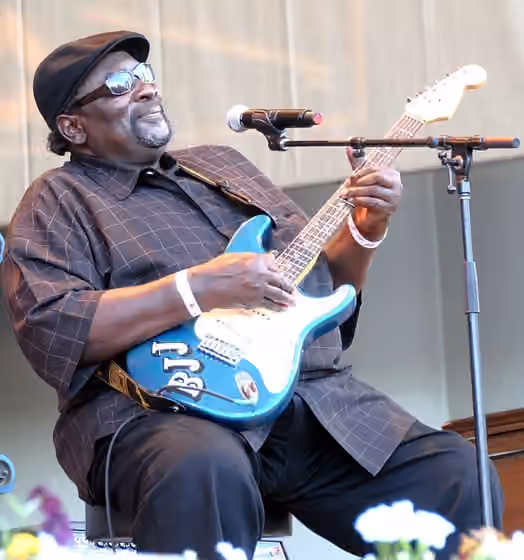 Delta blues — Blues musician Big Jack Johnson performing at the Chicago Blues Festival 2009.