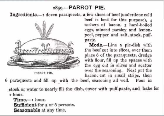 Parrot pie — A recipe for parrot pie from page 1259 of the 1888 edition of Mrs.
