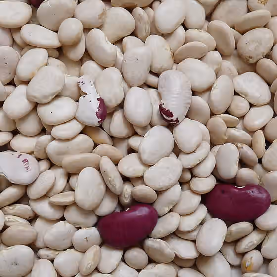 Hidangan Tanjung Verde — Haricots secs du Cap-Vert