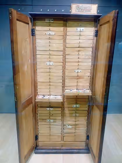 Daina (Latvia) — Original Cabinet of Folksongs at the National Library of Latvia