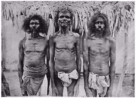Yenadis — Group of 3 Yanadi tribals, Madras Presidency, 1909.