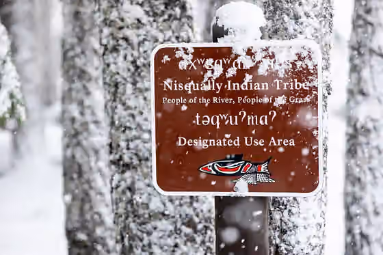 Nisqually people — On January 10, 2020, four fishers were released in the Nisqually Tribal Use Area at Mount Rainier National Park, bringing the total number released in the southern Cascades of Washington state to 81, and the total released throughout…