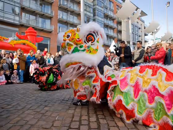orang Tionghoa di Irlandia — Chinese New Year in Ireland 2008