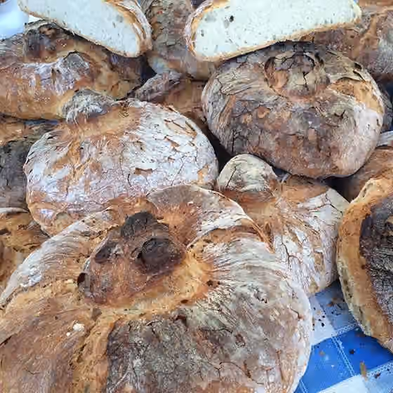 Galician bread — Hogaza de pan gallego