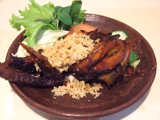 ayam goreng Kalasan — Kalasan style fried chicken