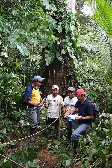 Suku Awa-Kwaiker — Awá people with employees of the Federacion Awá of Ecuador in the lowland rainforest within the Awá territory