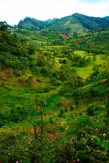 Hororo people — Agriculture in the Kigezi Mountains