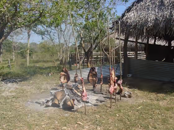 Colombian cuisine — Carne a la llanera.
