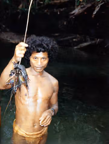 orang Togutil — Togutil ethnic group at Halmahera island .