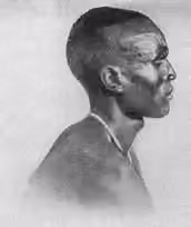 Dinka people — Dokumentasi Dinka people yang dirujuk oleh sumber.