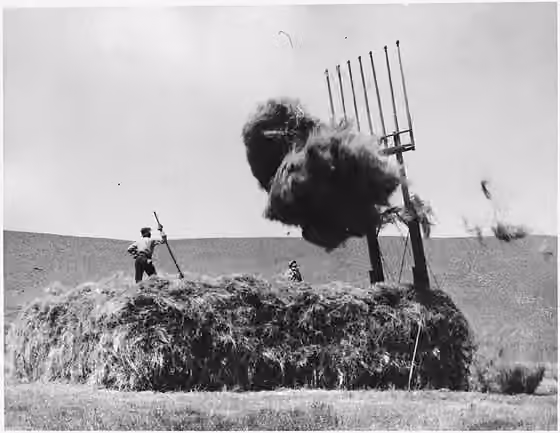Duckwater Shoshone Tribe of the Duckwater Reservation — Scope and content: Records document the activites of George LaVatta as Organizational Field Agent in the 1930's.