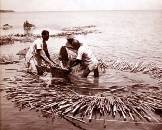 Suku Luo — Luo Fishermen on the lake Victoria (1949?)
